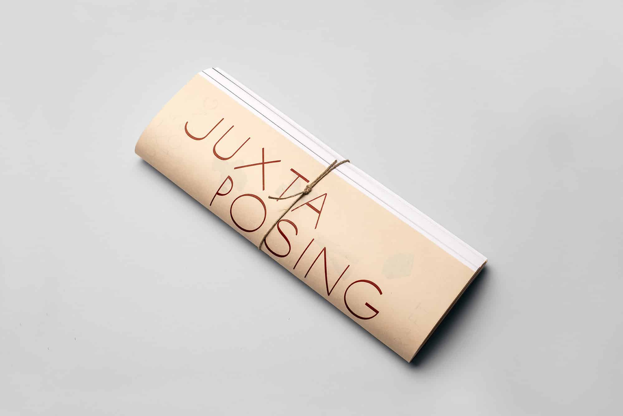 Juxtaposing Craft - Stinsensqueeze